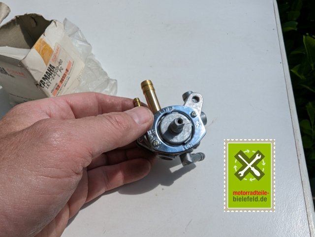 PXL_20240523_102922421